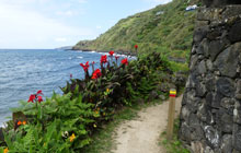 praia da viola northen coast sao miguel